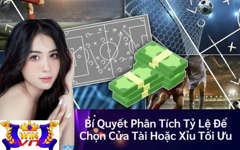 bi-quyet-phan-tich-ty-le-de-chon-cua-tai-hoac-xiu-toi-uu