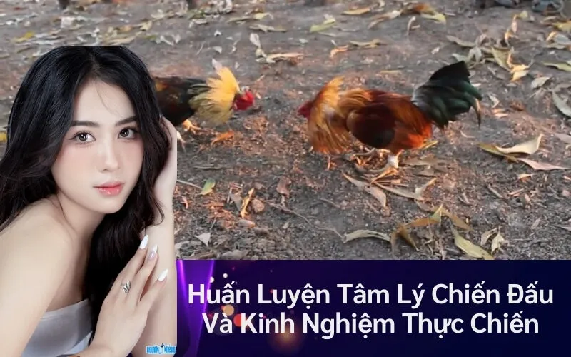 Huấn Luyện Tâm Lý Chiến Đấu Và Kinh Nghiệm Thực Chiến