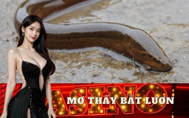 Mơ thấy bắt lươn