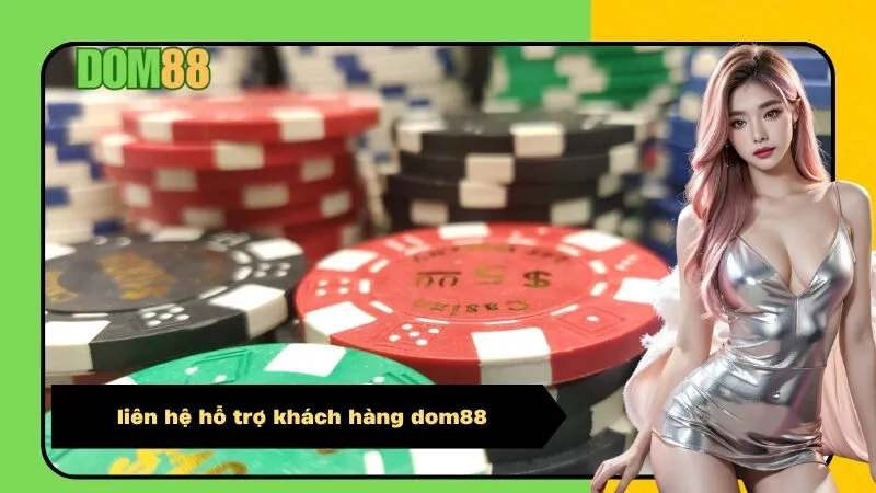 liên hệ hỗ trợ khách hàng dom88