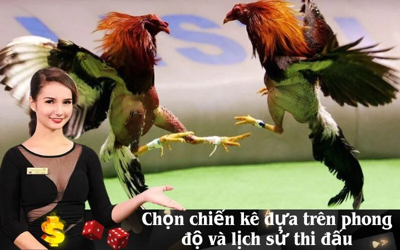 Chọn chiến kê dựa trên phong độ và lịch sử thi đấu