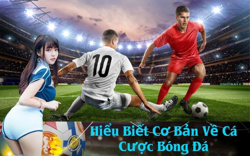 Hiểu Biết Cơ Bản Về Cá Cược Bóng Đá