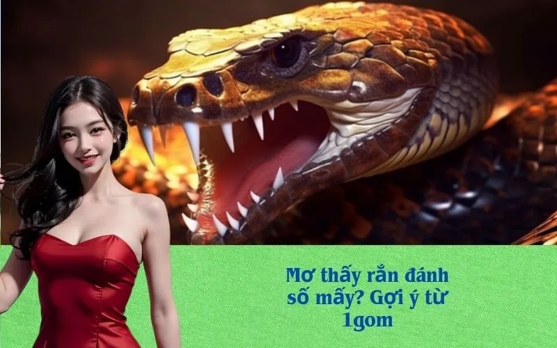 Mơ thấy rắn đánh số mấy? Gợi ý từ 1gom