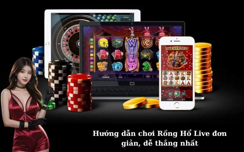 Hướng dẫn chơi Rồng Hổ Live đơn giản, dễ thắng nhất